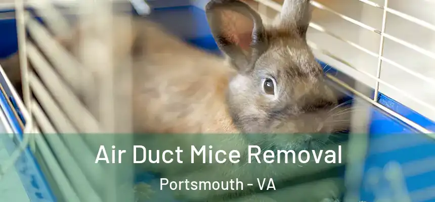 Air Duct Mice Removal Portsmouth - VA