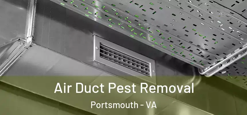  Air Duct Pest Removal Portsmouth - VA