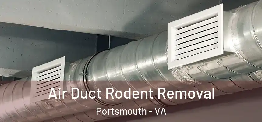 Air Duct Rodent Removal Portsmouth - VA