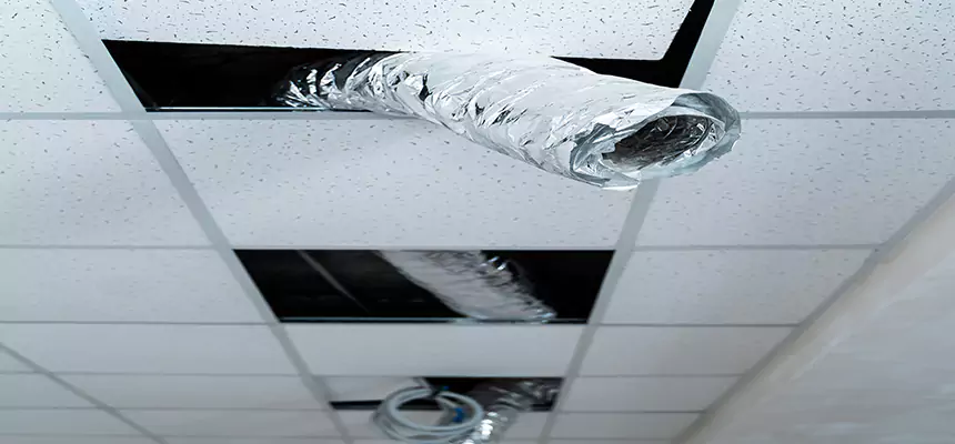 Our Air Duct Pet Hair Removal Services in Portsmouth, VA