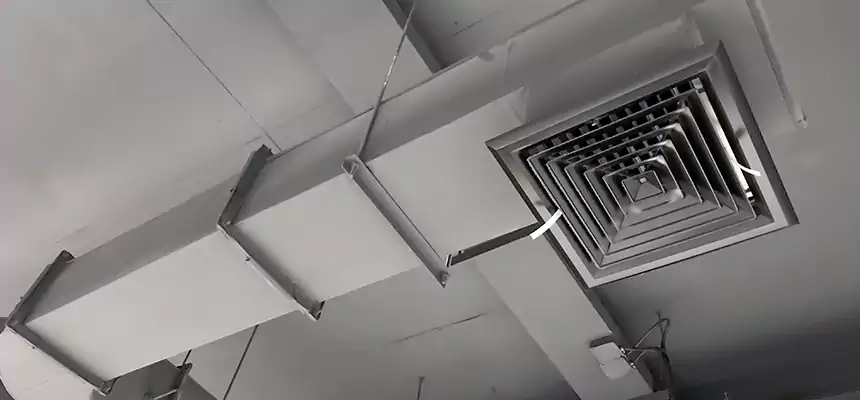 Our Pest Removal From Ducts Services in Portsmouth, VA