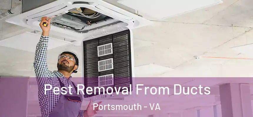  Pest Removal From Ducts Portsmouth - VA