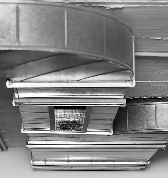 Professional Air Duct Pet Hair Removal in Portsmouth, VA