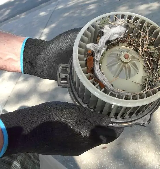 About Air Duct Rat Removal in Portsmouth, VA