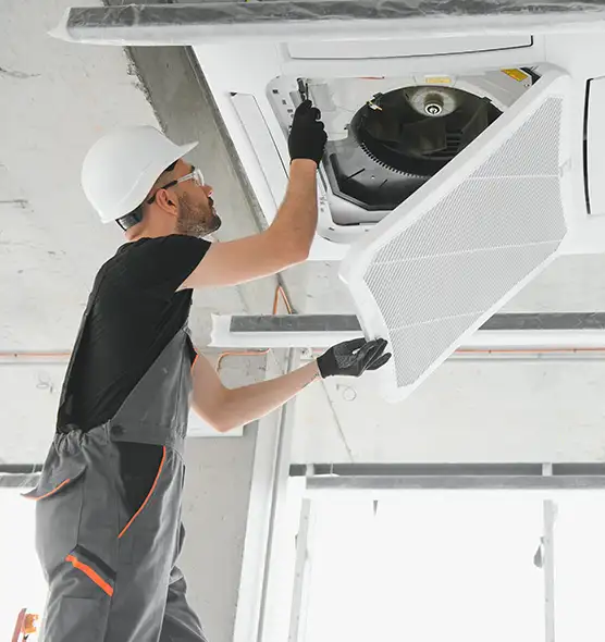 About Air Duct Rodent Removal in Portsmouth, VA