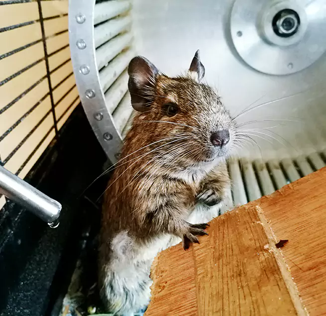 Why Homeowners & Businesses Trust Us Portsmouth, VA