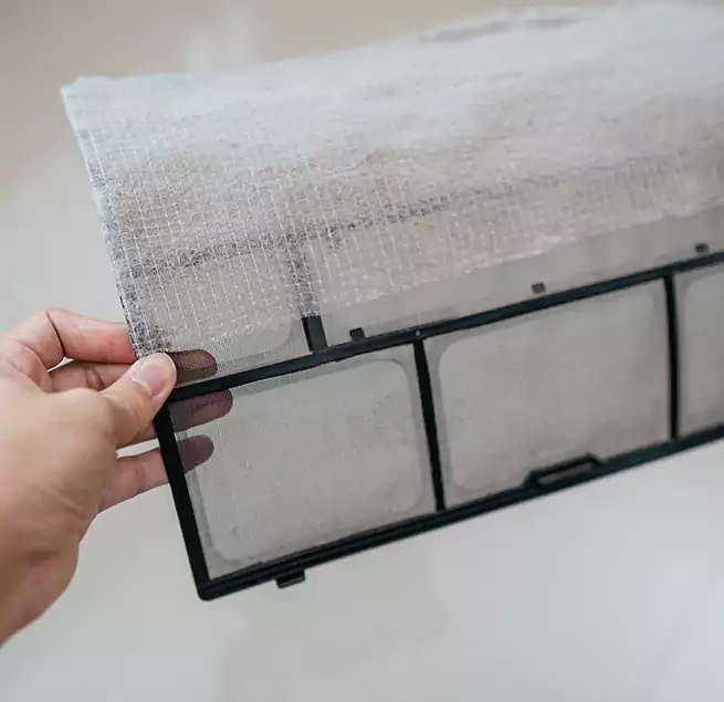 Why Homeowners & Businesses Trust Us in Portsmouth, VA?