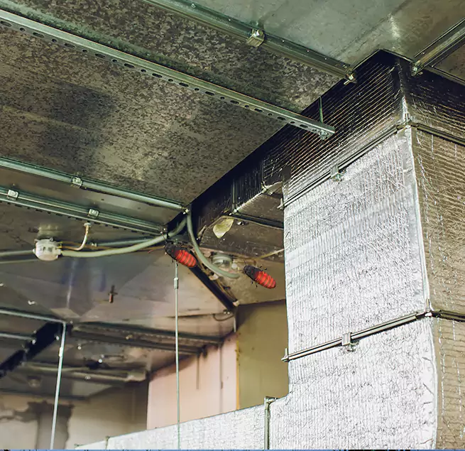 Why Homeowners & Businesses Trust Us Portsmouth, VA?