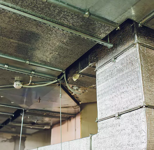 Why Homeowners & Businesses Trust Us in Portsmouth, VA?